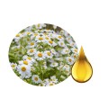 Chamomile herbal oil (Matricaria chamomilla)